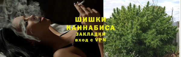 spice Новодвинск