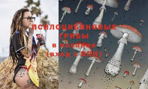 spice Новодвинск