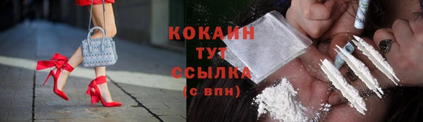 spice Новодвинск