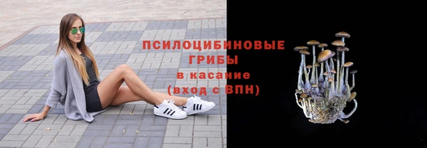 мяу мяу мука Новозыбков