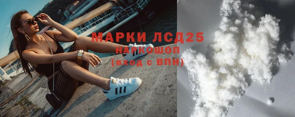 spice Новодвинск