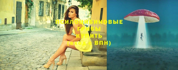 spice Новодвинск