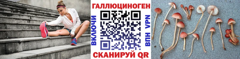 Галлюциногенные грибы Psilocybe Первоуральск