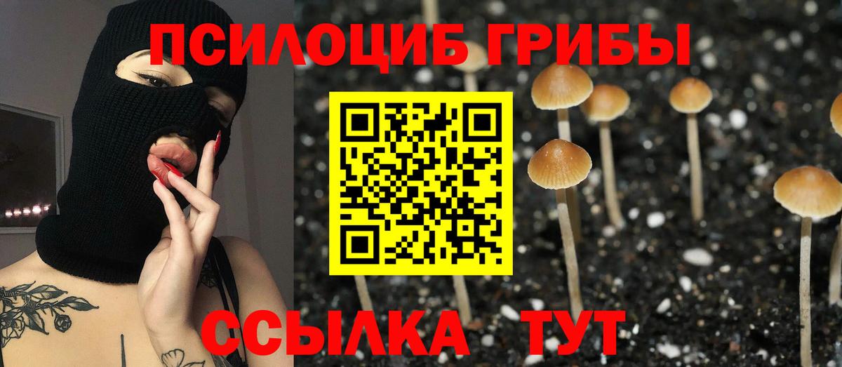 Галлюциногенные грибы Psilocybe  Вход с VPN  Первоуральск 